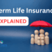 Term Life Insurance Explained - Partners Insurance, Inc.