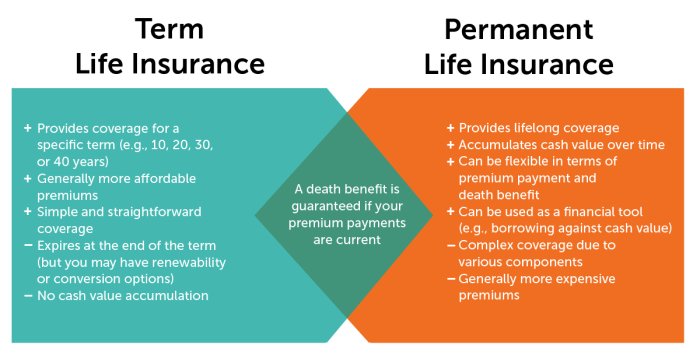 Term vs Permanent Life Insurance